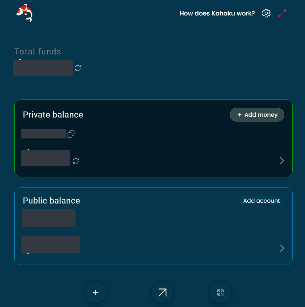Kohaku Wallet 中分离展示的私有余额与公开余额