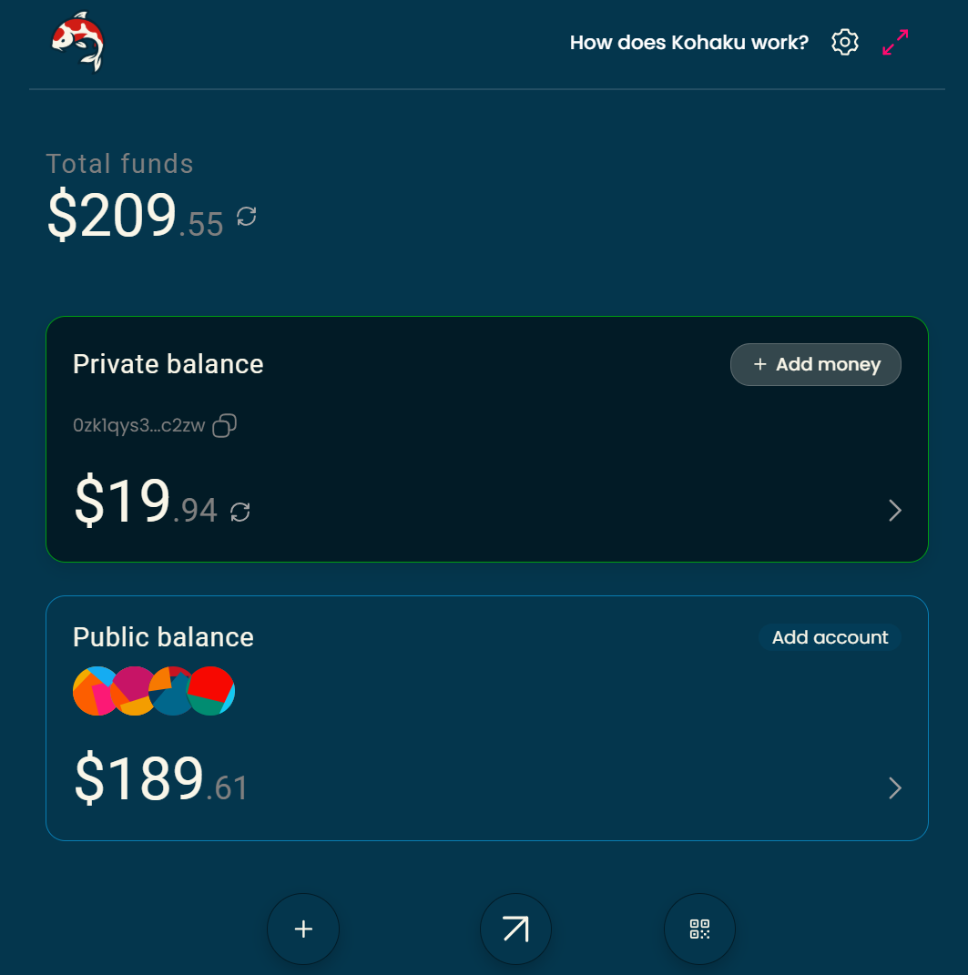Kohaku Wallet 中分离展示的私有余额与公开余额